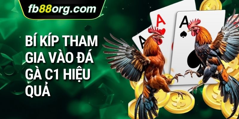 Bí kíp tham gia vào đá gà c1 hiệu quả