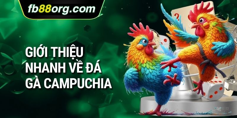 Giới thiệu nhanh về đá gà Campuchia