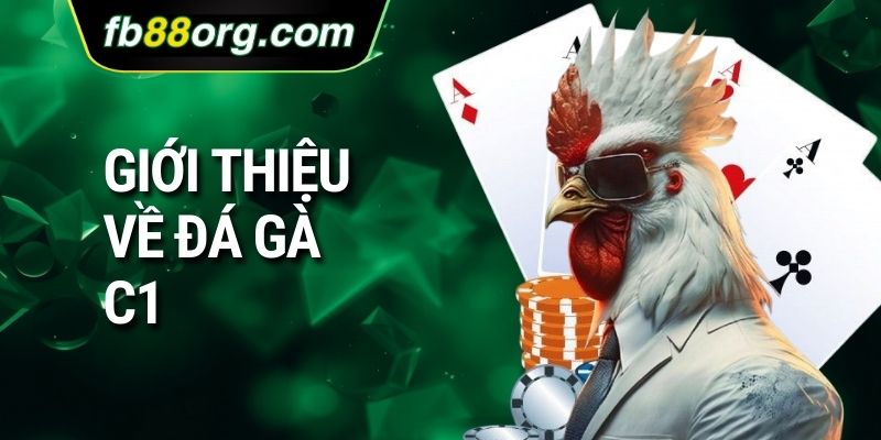 Giới thiệu về đá gà C1