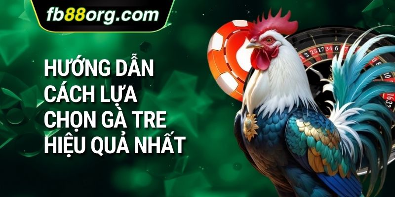 Hướng dẫn cách lựa chọn gà tre hiệu quả nhất