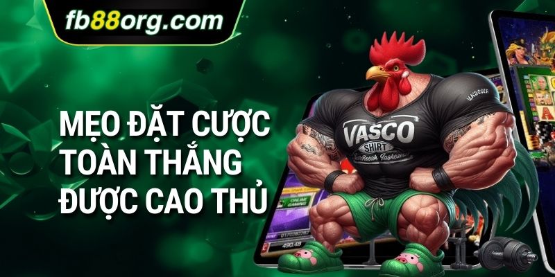 Mẹo đặt cược toàn thắng được cao thủ