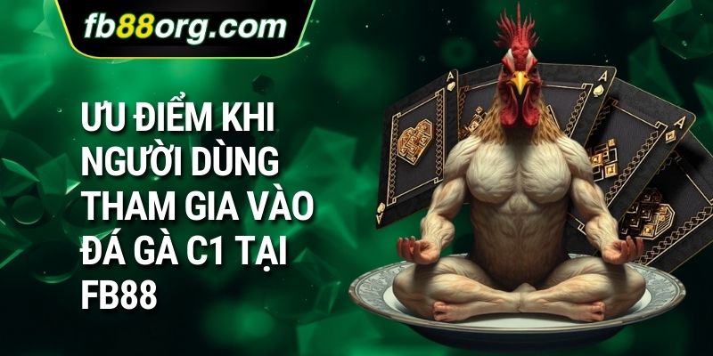 Ưu điểm khi người dùng tham gia vào đá gà C1 tại FB88